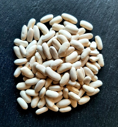 haricot lingot blanc bio