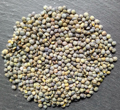 lentille verte bio *