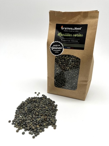 lentille verte 500g