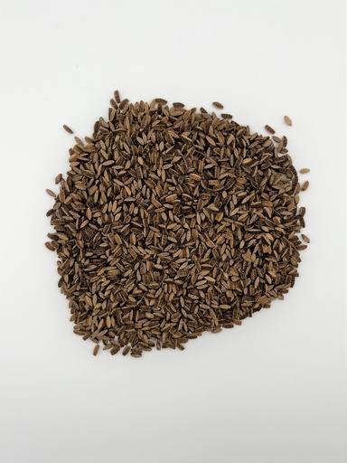 risoni sans gluten