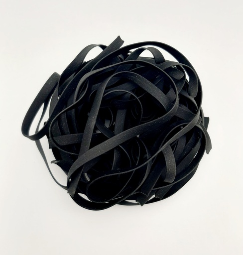 tagliatelle encre de seiche